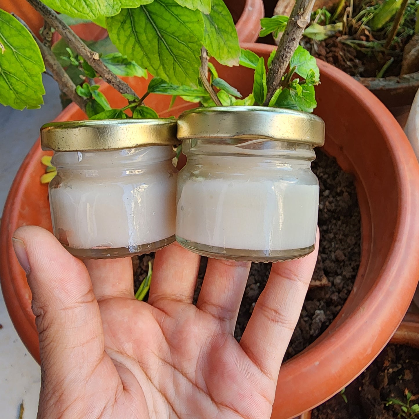 Organic Homemade Lip Balm
