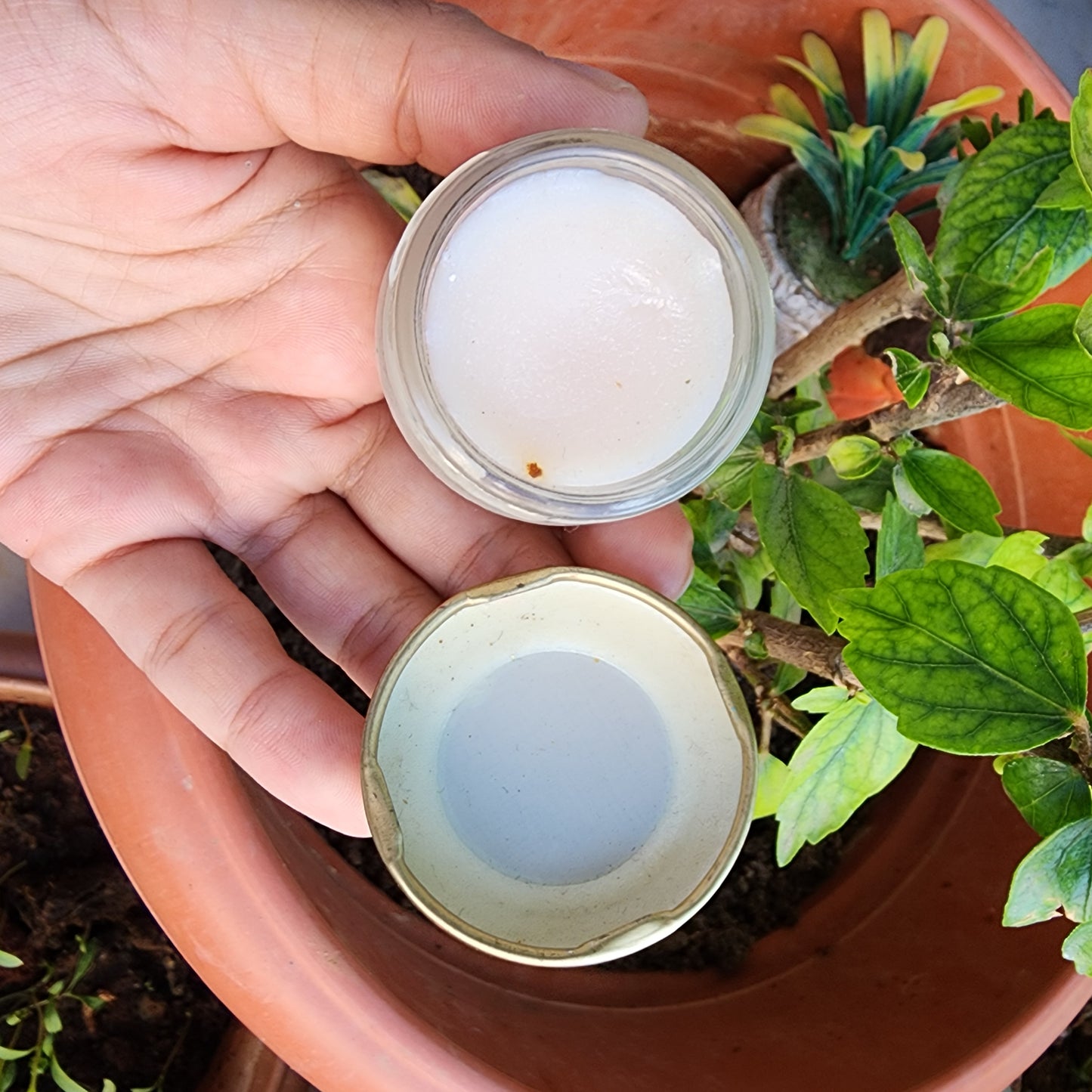Organic Homemade Lip Balm