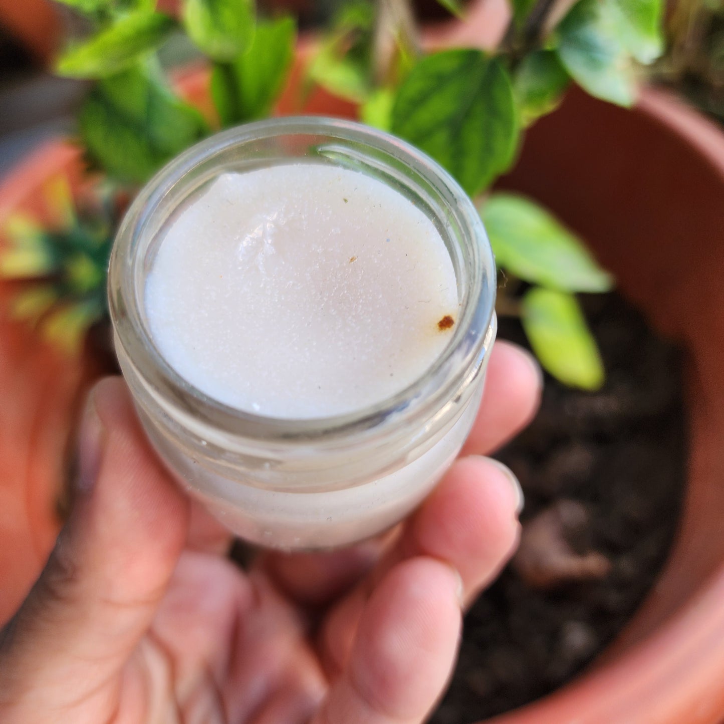 Organic Homemade Lip Balm