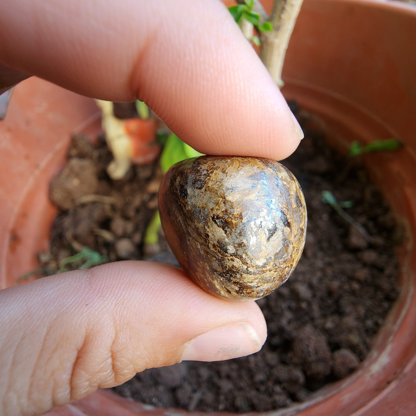 BRONZITE TUMBLE