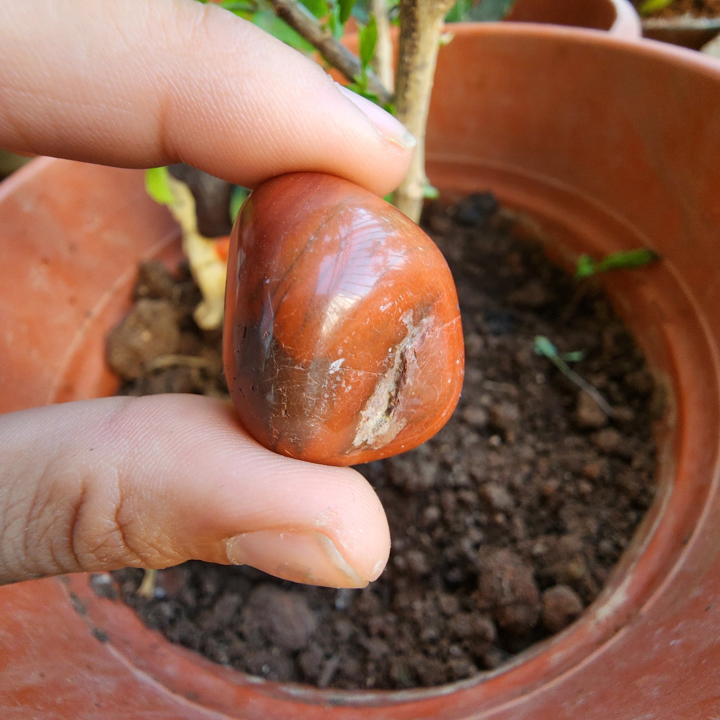 RED JASPER BIG Tumble