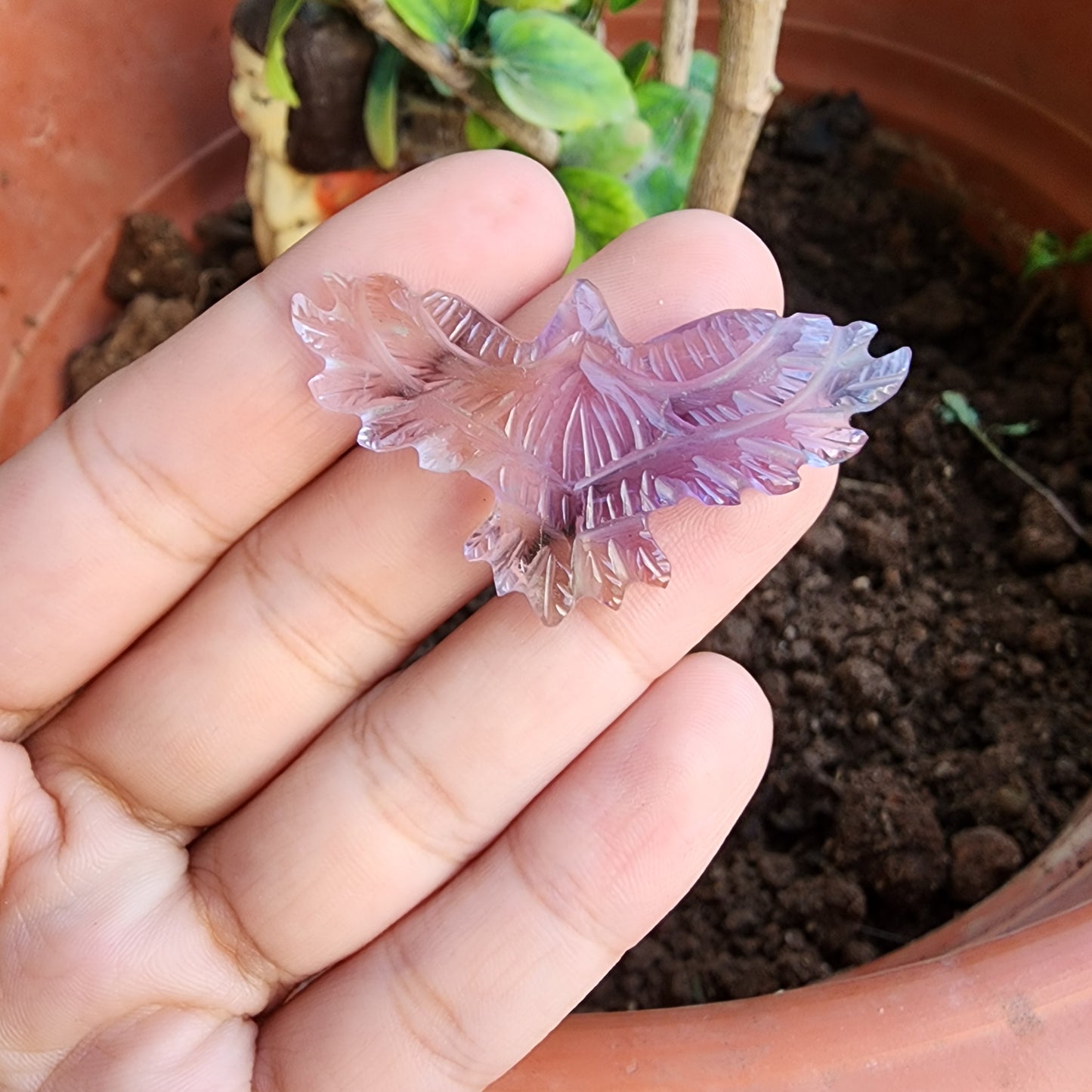 CRYSTAL EAGLES