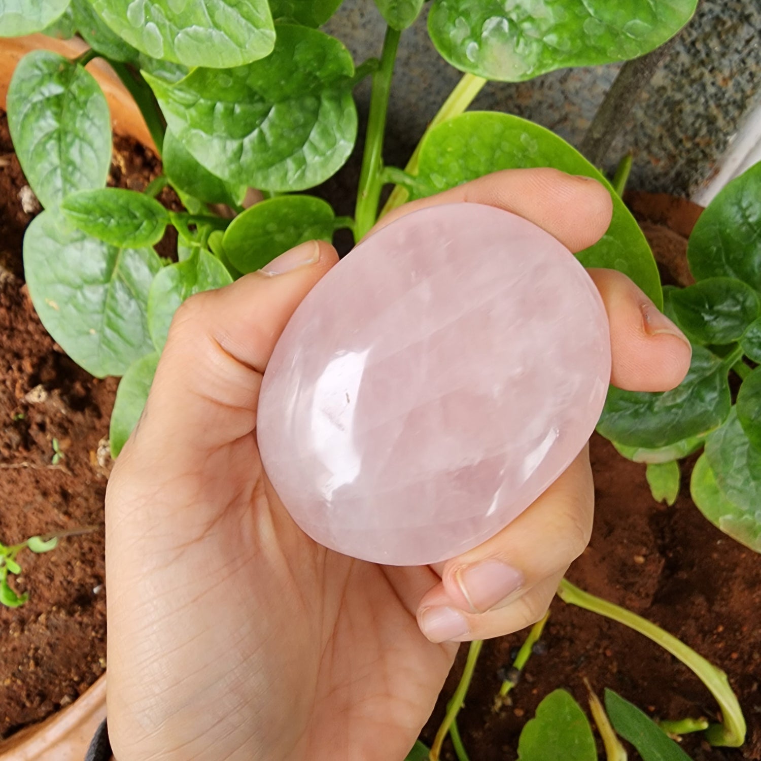 Polished Crystals