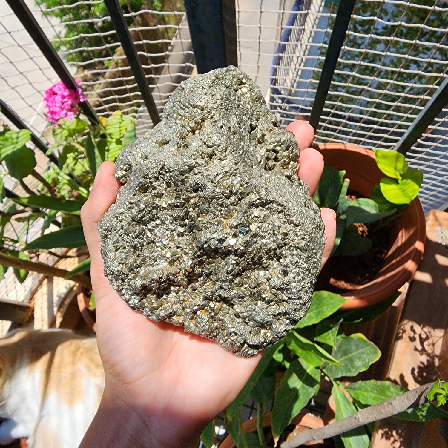 Pyrite
