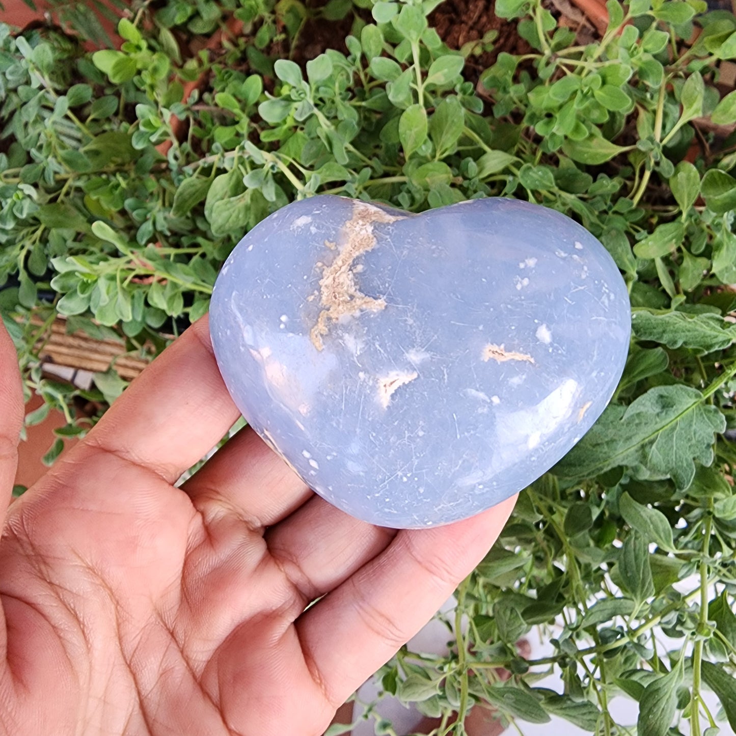 Angelite Heart