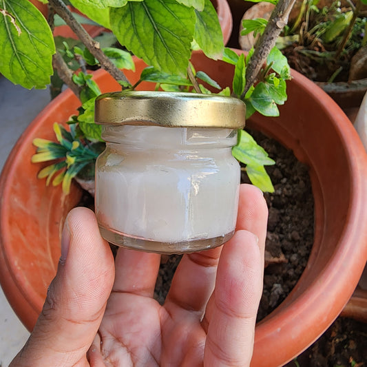 Organic Homemade Lip Balm