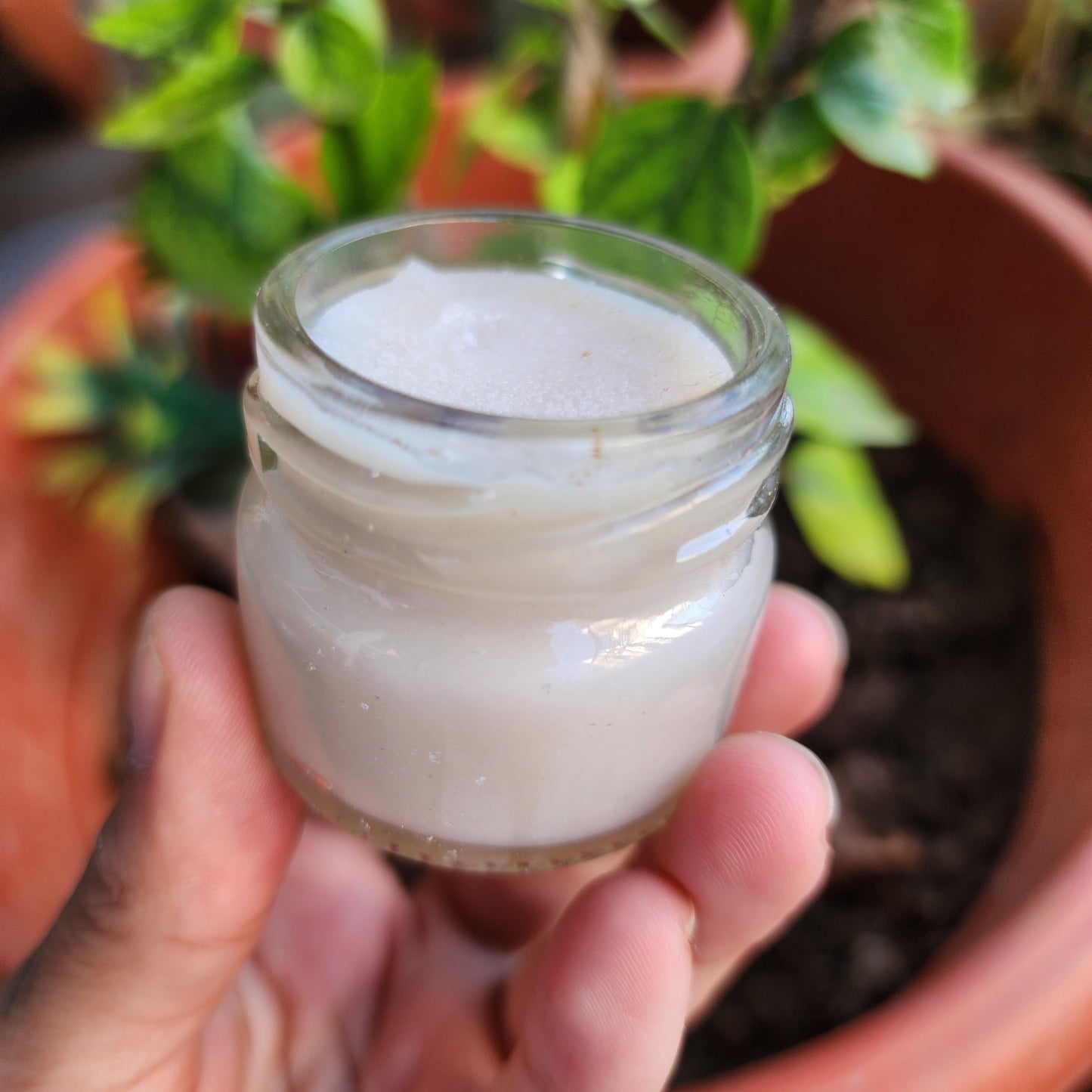 Organic Homemade Lip Balm