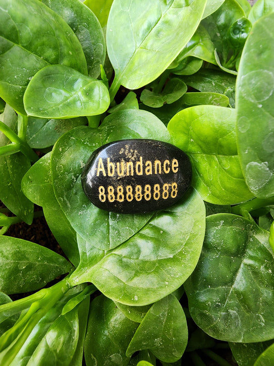 Money Protection Abundance Cabochon (Black Tourmaline)