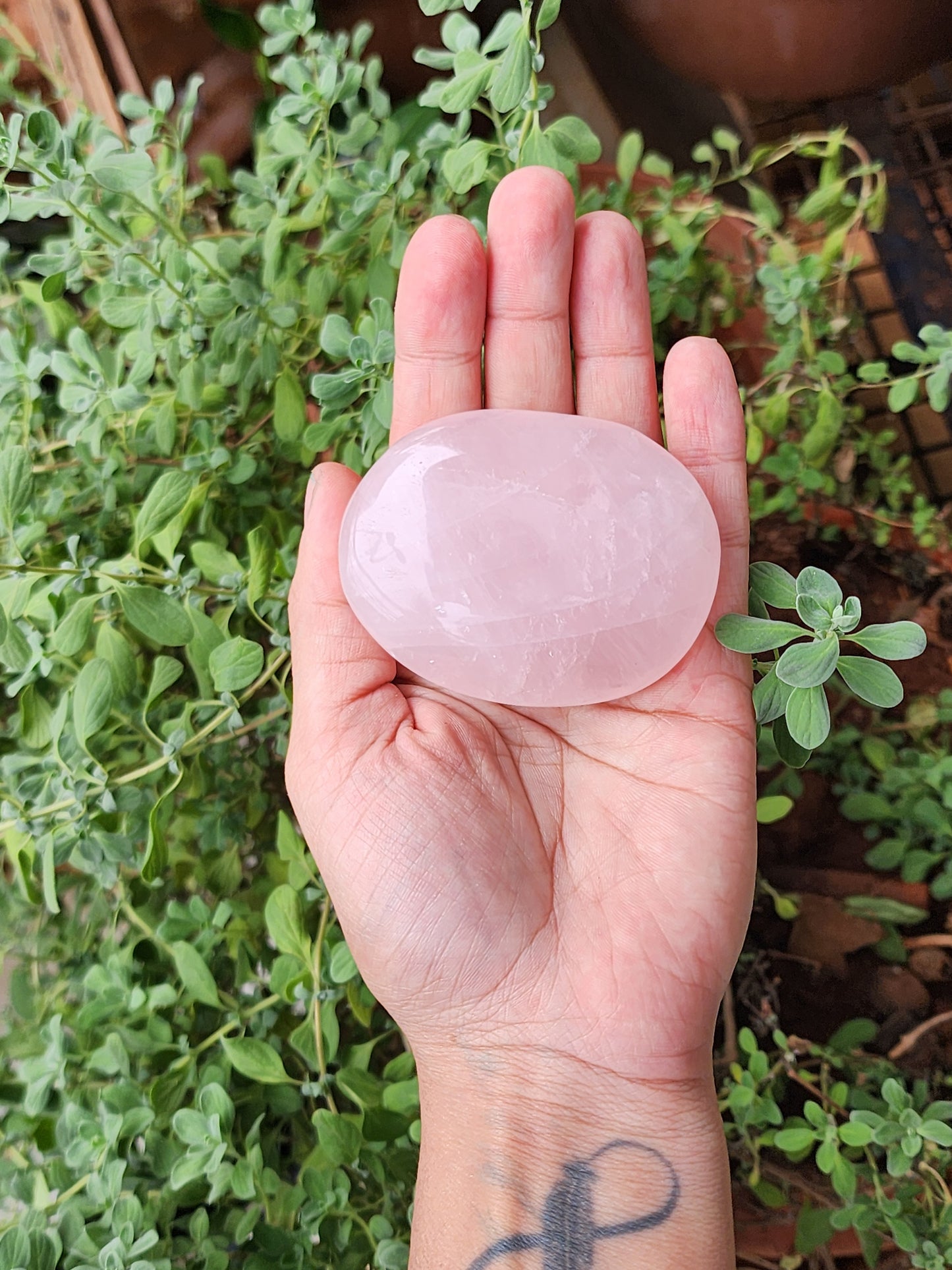 Rose Quartz Palm Stone