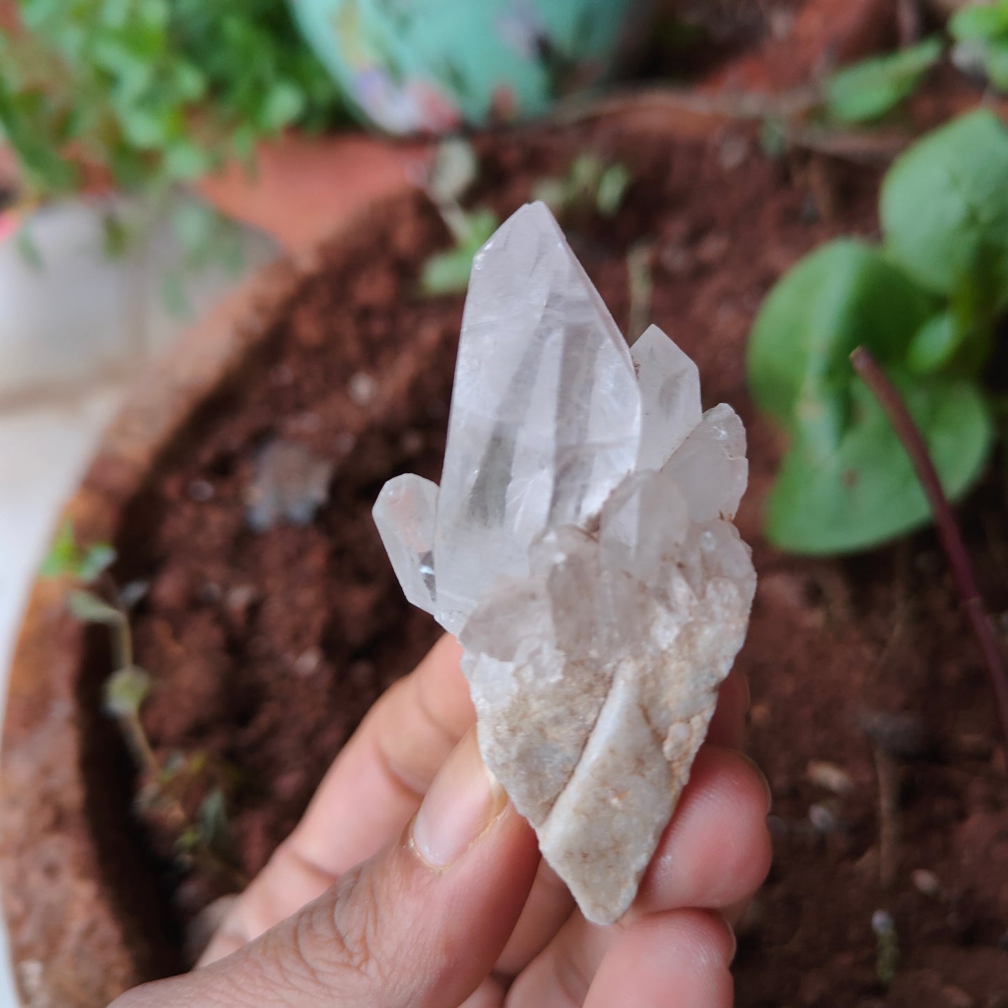 HIMALAYAN QUARTZ RAW